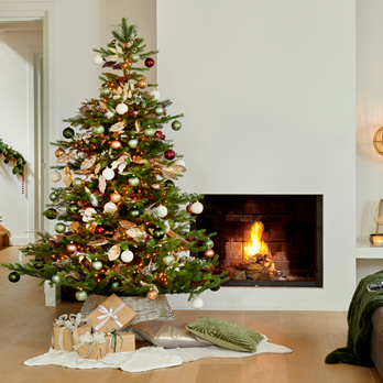 microsoftteams-image-39